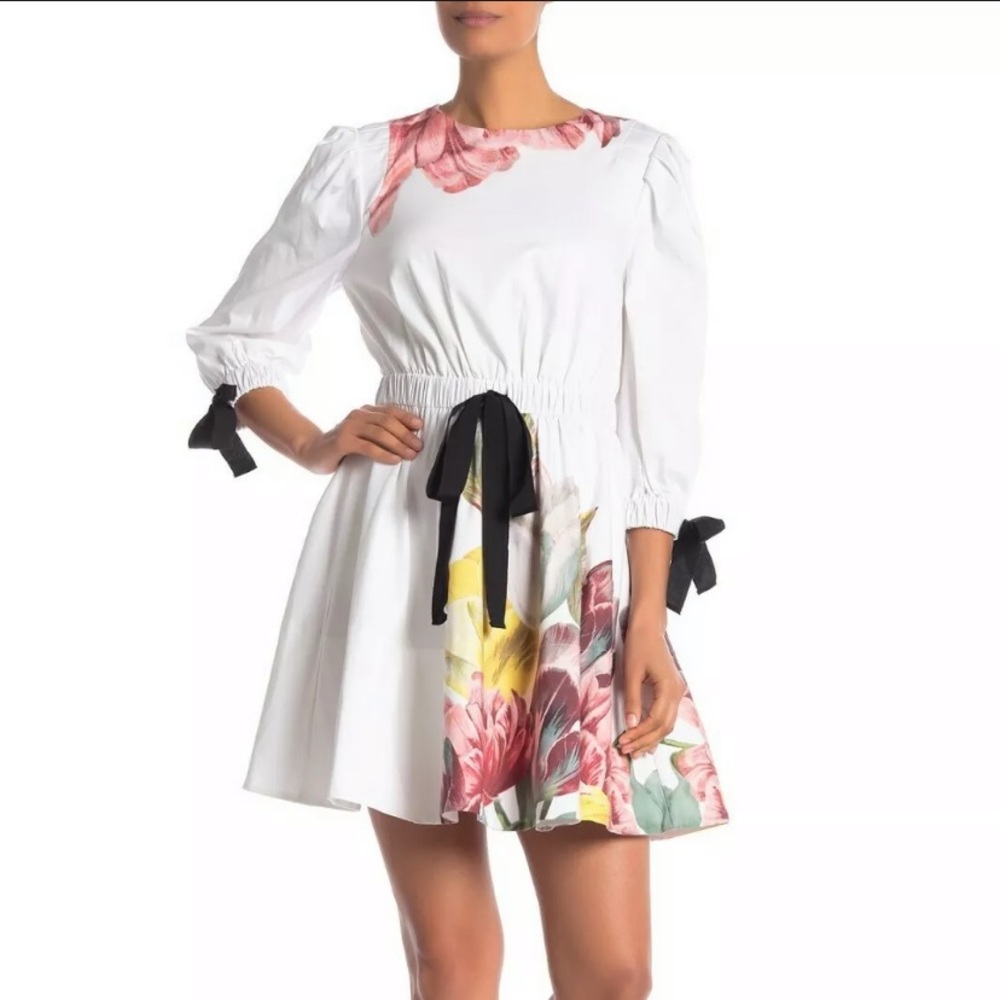 Ted Baked Tuleela Tranquility A-Line Dress